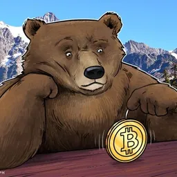Crypto Music avatar