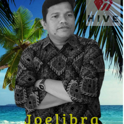 joelibra avatar