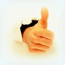 joy69 avatar