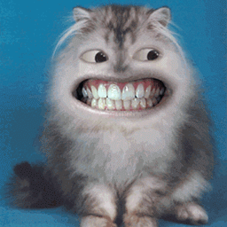 ElasticDonutCheetah avatar