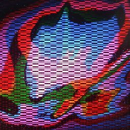 JungleOnion avatar