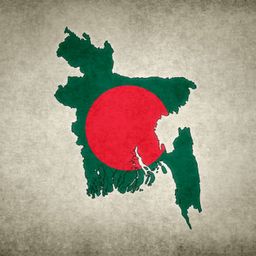 Rashedin Habib avatar