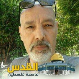 MOHA avatar