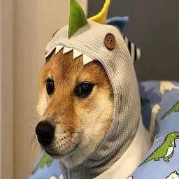 Kalib avatar