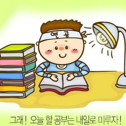 kanmiso avatar