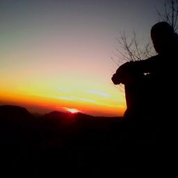 karramov avatar