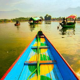 Kashmir 🍁 avatar