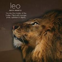 Leo avatar