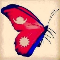 khadkabipin avatar