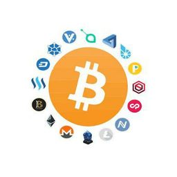 professional crypto avatar