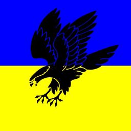 kievfalcon avatar