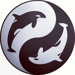 Killer Whale avatar