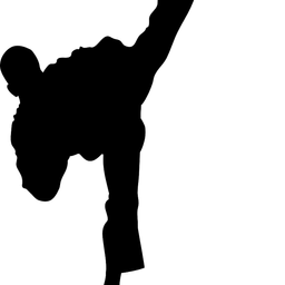 kkotto avatar
