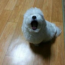 관느 avatar