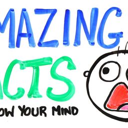 Facts4U avatar