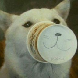 Kode