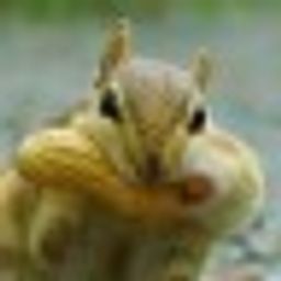 KT avatar
