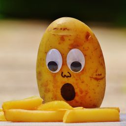 KoosVenterZA avatar
