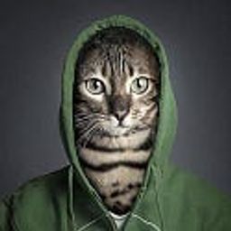 Kopjes avatar