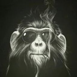 kriptojon avatar