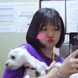 kshpev avatar