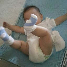 kutu23