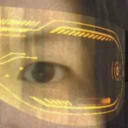L3 avatar