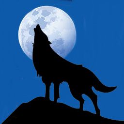 ladyangelwolf avatar