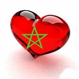 hajar avatar