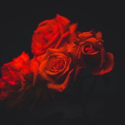 La ROSE avatar