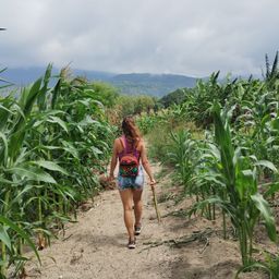 lavasca avatar