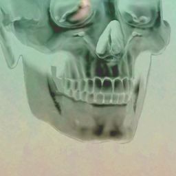 Skelzar avatar