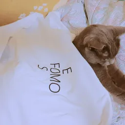 LeafCat avatar