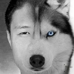 Lee Baong avatar