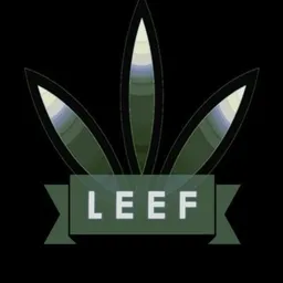 LEEFmaincorp avatar