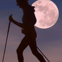 leevermoon avatar
