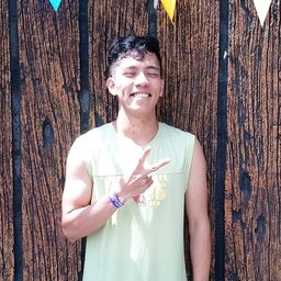vince avatar