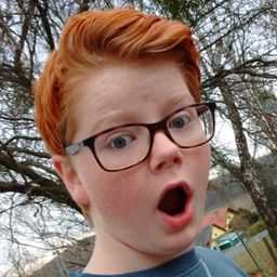 LetsPlayWhatElse avatar