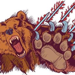 Grizzly Bear avatar