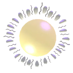 Lightsplasher avatar