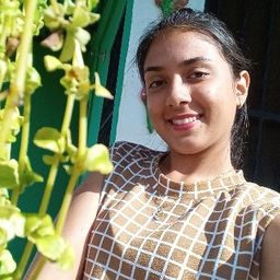 liu205 avatar