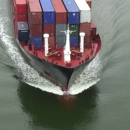 M.