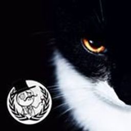Mitko_taralianko avatar