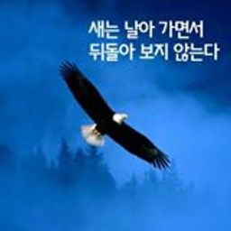 ALLBLESS avatar