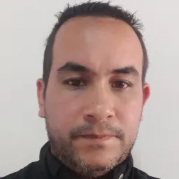 luis aranguren