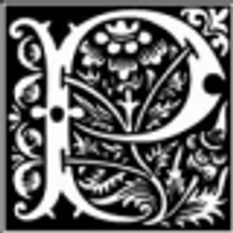 Paladin avatar