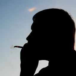 LvsD avatar