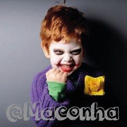 maconha avatar