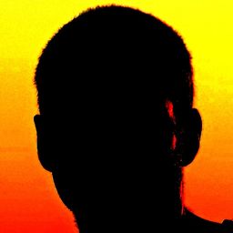 macrodrigues avatar