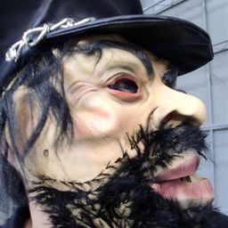 maddisonguo avatar